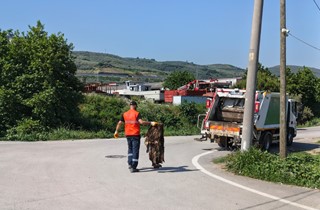 Gemlik'te Bayram Sonrası Kapsamlı Temizlik